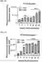 Fig. 30 - COMPOSITIONS AND METHODS FOR TARGETING TUMOR-ASSOCIATED EXTRACELLULAR MATRIX COMPONENTS TO IMPROVE DRUG DELIVERY