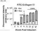 Fig. 31 - COMPOSITIONS AND METHODS FOR TARGETING TUMOR-ASSOCIATED EXTRACELLULAR MATRIX COMPONENTS TO IMPROVE DRUG DELIVERY