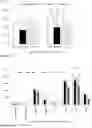 Fig. 02 - PREOPERATIVE COMPOSITIONS AND METHODS OF PREPARATION THEREOF