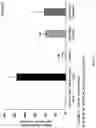 Fig. 04 - COMPOSITION COMPRISING ACTINIDIA POLYGAMA EXTRACT FOR ALLEVIATING SKIN DAMAGE OR MOISTURIZING SKIN