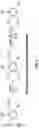 Fig. 05 - Extraction and purification of cannabinoids