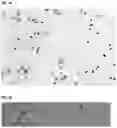 Fig. 04 - Okra as a substitute for cervical mucus