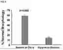 Fig. 05 - Okra as a substitute for cervical mucus
