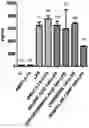 Fig. 01 - ANTI-INFLAMMATORY COMPOSITION
