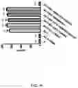 Fig. 05 - ANTI-INFLAMMATORY COMPOSITION