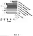 Fig. 06 - ANTI-INFLAMMATORY COMPOSITION