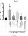 Fig. 11 - PHARMACEUTICAL COMPOSITION COMPRISING MIXTURE EXTRACT OF COPTIS RHIZOME AND SCHIZONEPETA TENUIFOLIA AS ACTIVE INGREDIENT FOR PREVENTION OR TREATMENT OF INFLAMMATORY BOWEL DISEASE