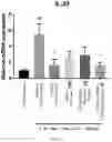 Fig. 12 - PHARMACEUTICAL COMPOSITION COMPRISING MIXTURE EXTRACT OF COPTIS RHIZOME AND SCHIZONEPETA TENUIFOLIA AS ACTIVE INGREDIENT FOR PREVENTION OR TREATMENT OF INFLAMMATORY BOWEL DISEASE