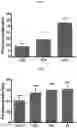 Fig. 02 - Compositions for management of acute nephrotoxicity