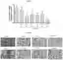 Fig. 15 - Compositions for management of acute nephrotoxicity