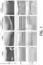 Fig. 02 - USE OF CYCLO(HIS-PRO) (CHP) FOR PREVENTING, ALLEVIATING OR TREATING PERITONEAL FIBROSIS