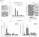 Fig. 02 - METHODS FOR IDENTIFICATION, ASSESSMENT, PREVENTION, AND TREATMENT OF METABOLIC DISORDERS USING SLIT2