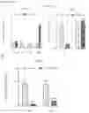 Fig. 03 - METHODS FOR IDENTIFICATION, ASSESSMENT, PREVENTION, AND TREATMENT OF METABOLIC DISORDERS USING SLIT2