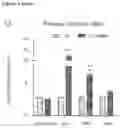 Fig. 04 - METHODS FOR IDENTIFICATION, ASSESSMENT, PREVENTION, AND TREATMENT OF METABOLIC DISORDERS USING SLIT2