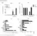 Fig. 06 - METHODS FOR IDENTIFICATION, ASSESSMENT, PREVENTION, AND TREATMENT OF METABOLIC DISORDERS USING SLIT2