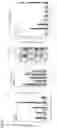 Fig. 08 - METHODS FOR IDENTIFICATION, ASSESSMENT, PREVENTION, AND TREATMENT OF METABOLIC DISORDERS USING SLIT2