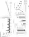 Fig. 21 - METHODS FOR IDENTIFICATION, ASSESSMENT, PREVENTION, AND TREATMENT OF METABOLIC DISORDERS USING SLIT2