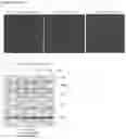 Fig. 32 - METHODS FOR IDENTIFICATION, ASSESSMENT, PREVENTION, AND TREATMENT OF METABOLIC DISORDERS USING SLIT2