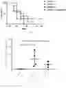 Fig. 05 - Method of treating cancer with an immune checkpoint inhibitor in combination with another therapeutic agent