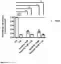 Fig. 06 - LYMPHOTOXIN ALPHA FOR USE IN THERAPY OF MYELOID LEUKEMIA