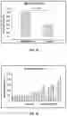 Fig. 10 - METHODS OF IMPROVING SPINAL FUSION WITH ABALOPARATIDE
