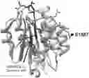 Fig. 01 - USES OF A2 DOMAIN OF VON WILLEBRAND FACTOR