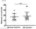 Fig. 22 - USES OF A2 DOMAIN OF VON WILLEBRAND FACTOR