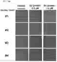 Fig. 32 - USES OF A2 DOMAIN OF VON WILLEBRAND FACTOR