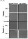 Fig. 33 - USES OF A2 DOMAIN OF VON WILLEBRAND FACTOR