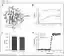 Fig. 38 - USES OF A2 DOMAIN OF VON WILLEBRAND FACTOR