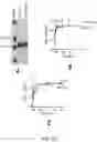 Fig. 46 - USES OF A2 DOMAIN OF VON WILLEBRAND FACTOR