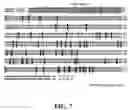 Fig. 07 - Methods and compositions for treating coronavirus infections
