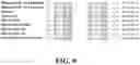 Fig. 09 - Methods and compositions for treating coronavirus infections