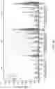 Fig. 18 - COMPOSITIONS AND METHODS FOR REACTIVATING LATENT IMMUNODEFICIENCY VIRUS AND/OR TREATING IMMUNODEFICIENCY VIRUS INFECTION