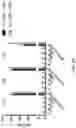 Fig. 28 - COMPOSITIONS AND METHODS FOR REACTIVATING LATENT IMMUNODEFICIENCY VIRUS AND/OR TREATING IMMUNODEFICIENCY VIRUS INFECTION