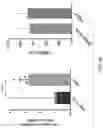 Fig. 31 - COMPOSITIONS AND METHODS FOR REACTIVATING LATENT IMMUNODEFICIENCY VIRUS AND/OR TREATING IMMUNODEFICIENCY VIRUS INFECTION
