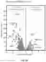 Fig. 37 - COMPOSITIONS AND METHODS FOR REACTIVATING LATENT IMMUNODEFICIENCY VIRUS AND/OR TREATING IMMUNODEFICIENCY VIRUS INFECTION