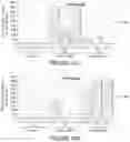 Fig. 15 - NUCLEIC ACID VACCINES