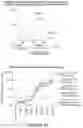 Fig. 20 - NUCLEIC ACID VACCINES