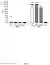 Fig. 07 - Coronavirus vaccine