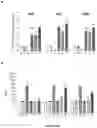 Fig. 18 - Coronavirus vaccine