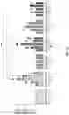 Fig. 19 - Coronavirus vaccine