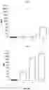 Fig. 36 - Coronavirus vaccine