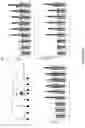 Fig. 40 - Coronavirus vaccine