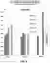Fig. 12 - Nucleic acid stabilizing solution for vaccines, therapy, diagnostics, storage, and transport