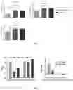 Fig. 03 - PREPARATION OF ZINC ZOLEDRONATE MICRO-NANOPARTICLE ADJUVANT AND USE THEREOF AS VACCINE ADJUVANT
