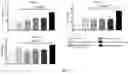 Fig. 05 - PREPARATION OF ZINC ZOLEDRONATE MICRO-NANOPARTICLE ADJUVANT AND USE THEREOF AS VACCINE ADJUVANT