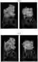 Fig. 05 - IPILIMUMAB VARIANTS WITH ENHANCED SPECIFICITY FOR BINDING AT LOW PH