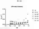 Fig. 21 - IPILIMUMAB VARIANTS WITH ENHANCED SPECIFICITY FOR BINDING AT LOW PH