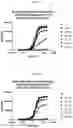 Fig. 24 - IPILIMUMAB VARIANTS WITH ENHANCED SPECIFICITY FOR BINDING AT LOW PH